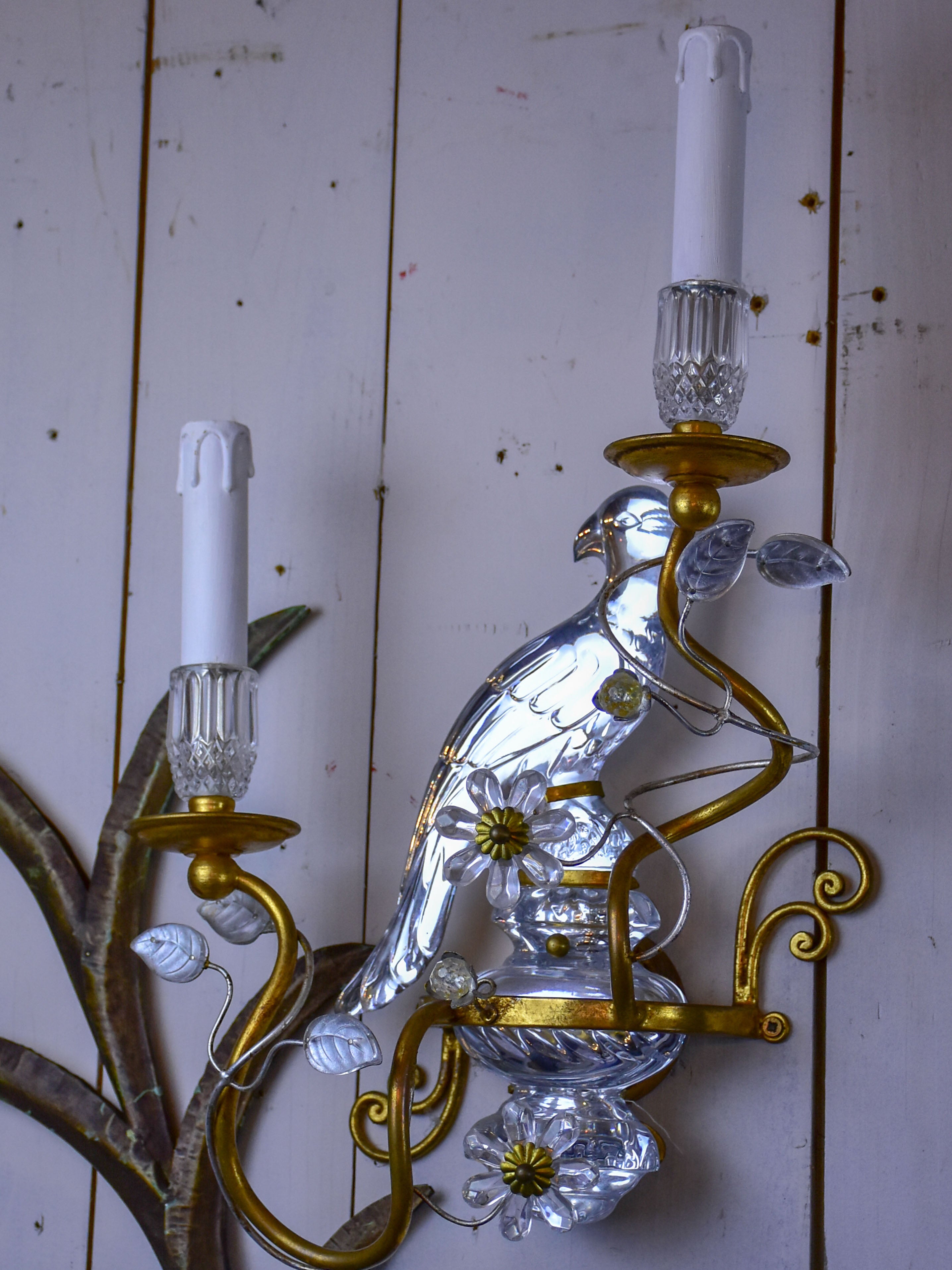 Pair of Parrot wall sconces in the style of Maison Baguès