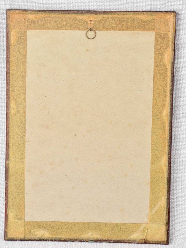 Collection of 5 framed botanic prints - early 20th century 12¼" x 8¾"