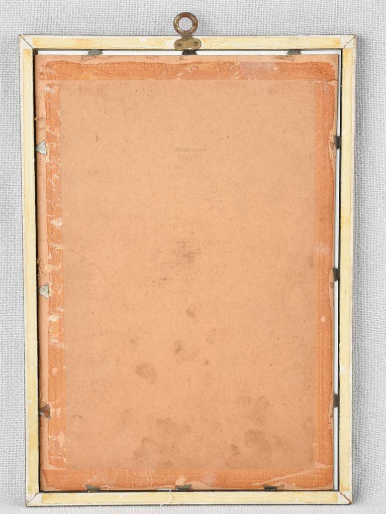 Early 20th century botanic art - rue fetide 12½" x 8¼"