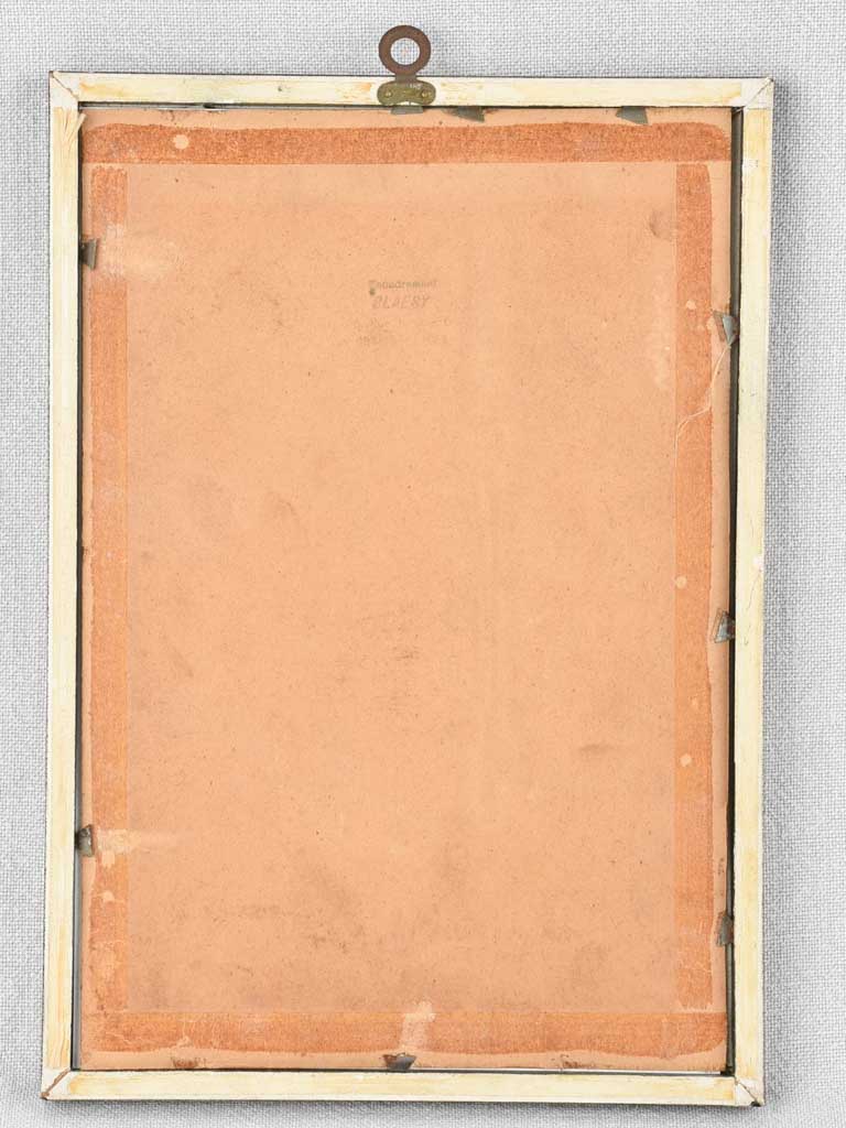 Early 20th century botanic art - Veronique Germandree 12½" x 8¼"
