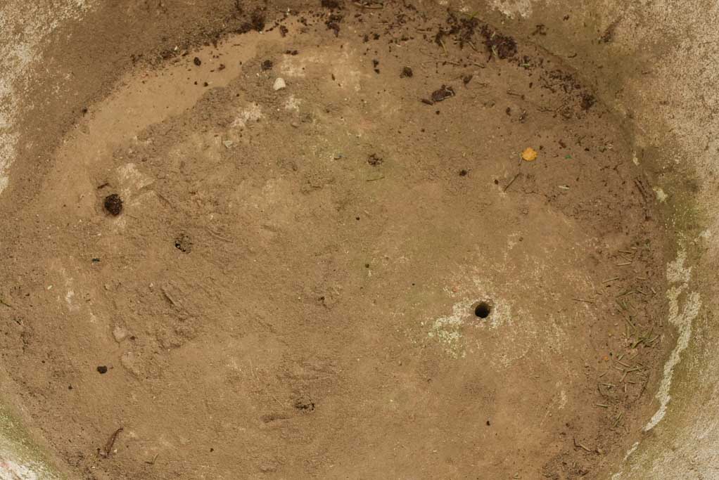 Large conical Willy Guhl planter 28¾"