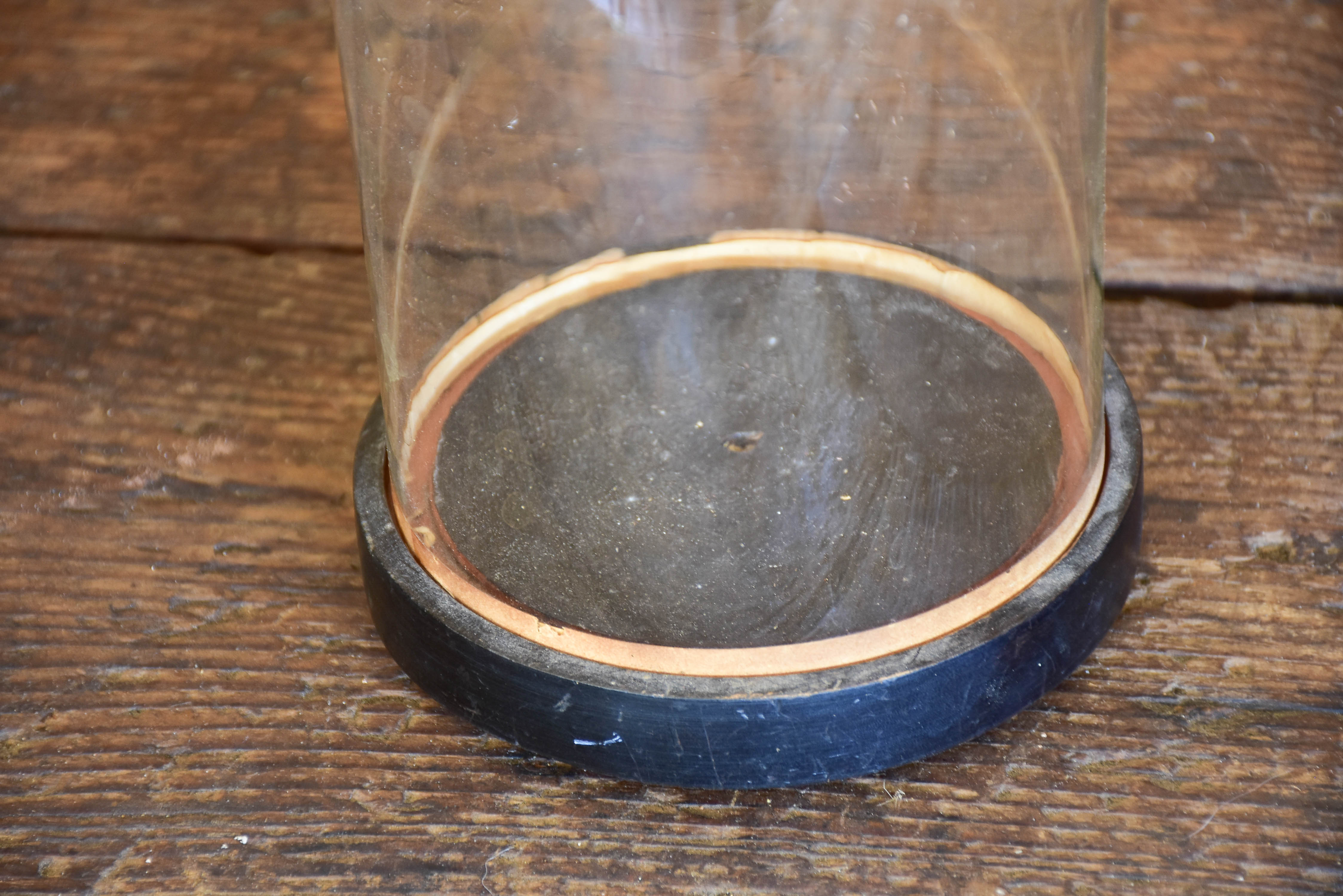 Small Napoleon III specimen dome