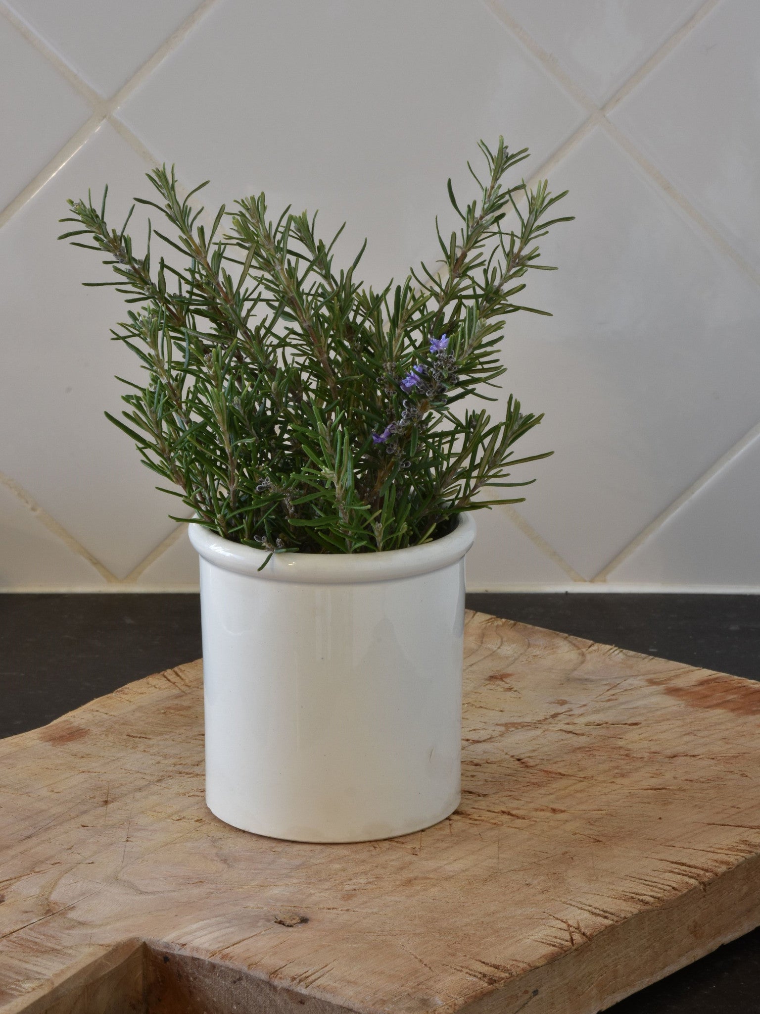 Preserving jar, ironstone 4", 19th-century (two)