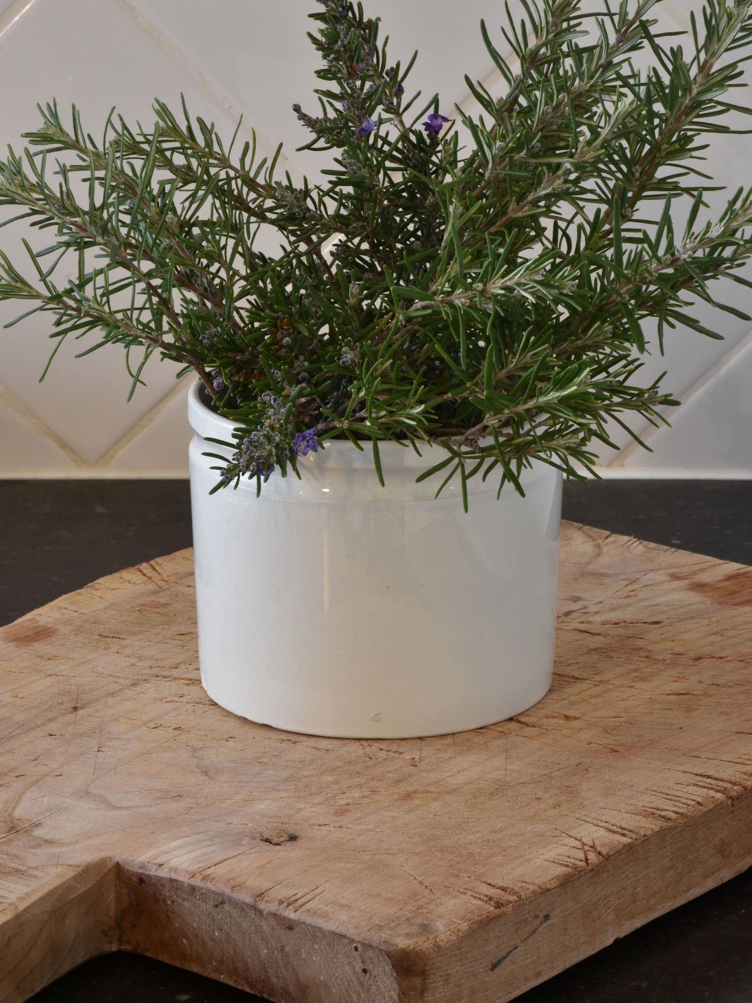 5"? French ironstone preserving jar - late 19th century 2/2