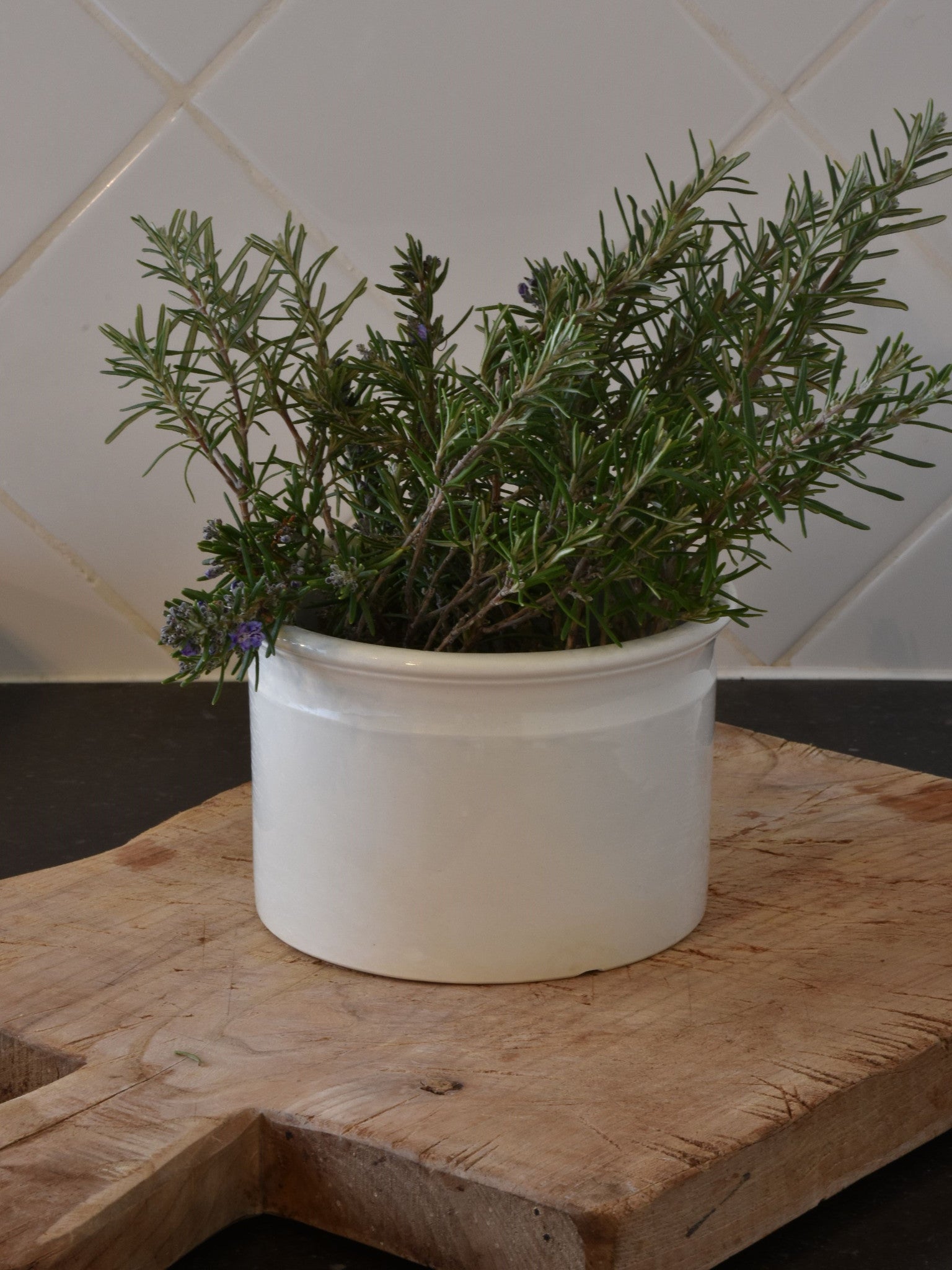 6"? French ironstone preserving jar - late 19th century