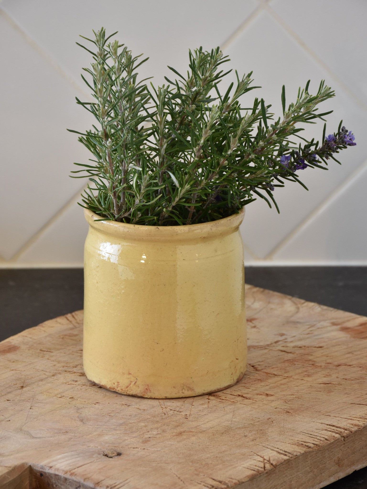 4¼"? French yellow ware preserving jar - late 19th century 2/4