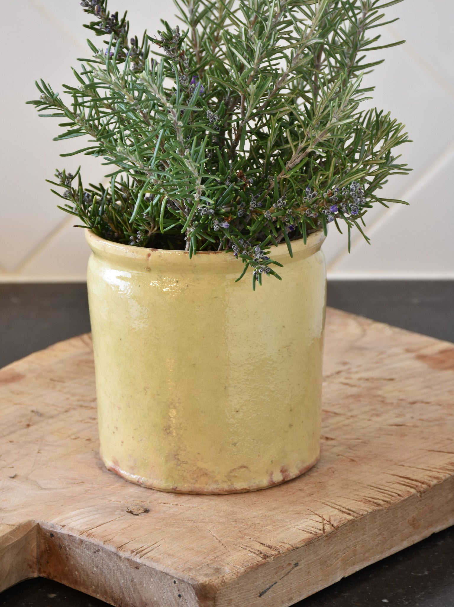 4¼"? French yellow ware preserving jar - late 19th century 4/4