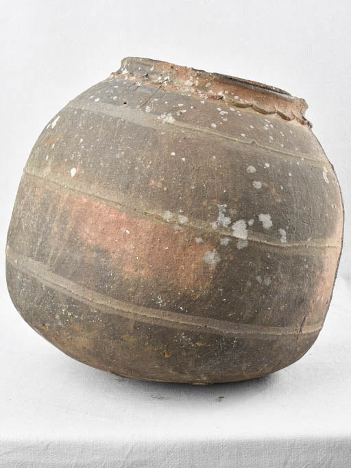 Handcrafted Charente-Maritime meat preserver