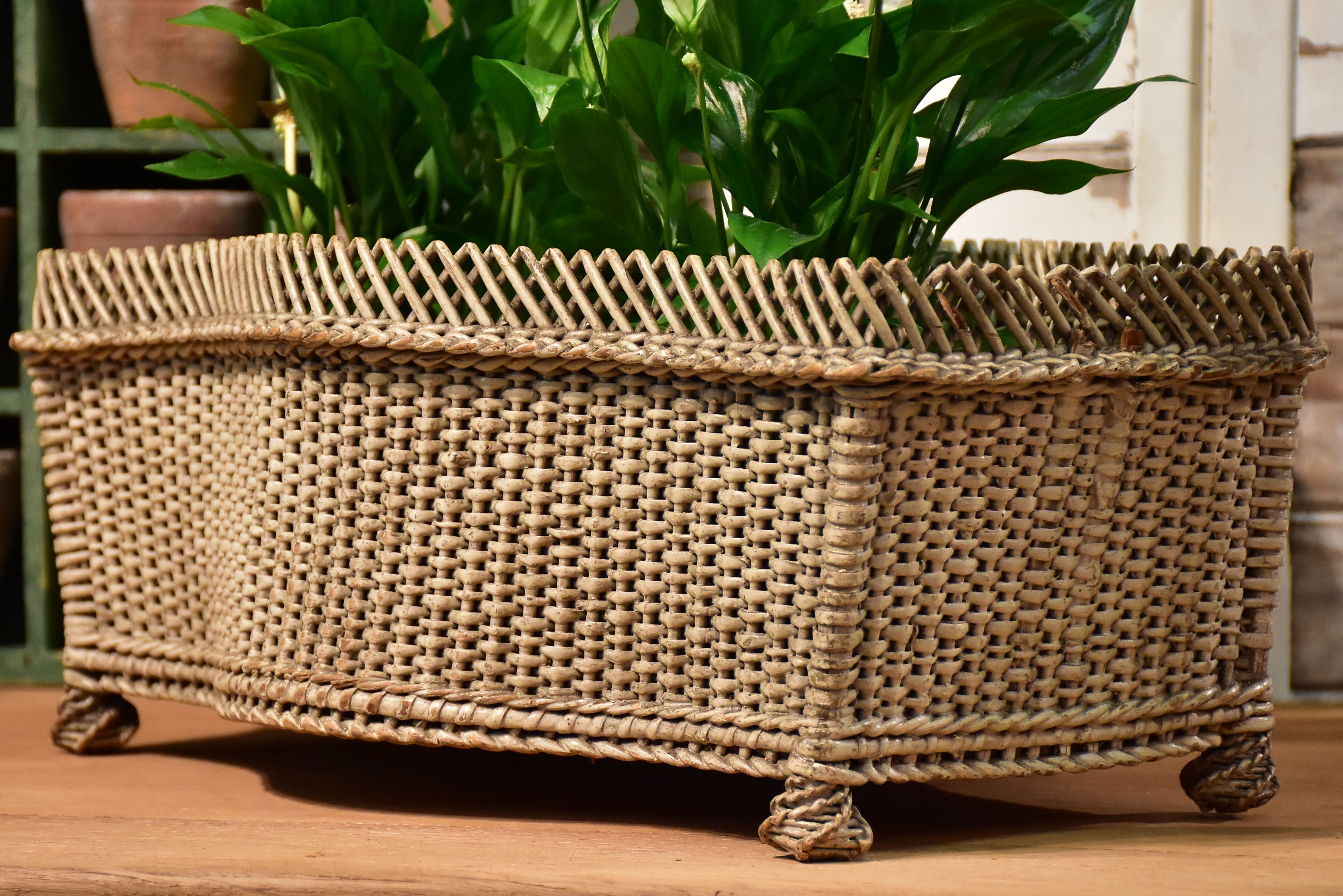 Flower pot stand, wicker, French, antique