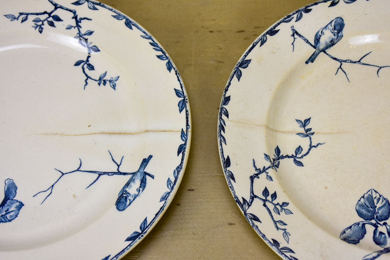 Antique Oxford French dinner service - 14 piece