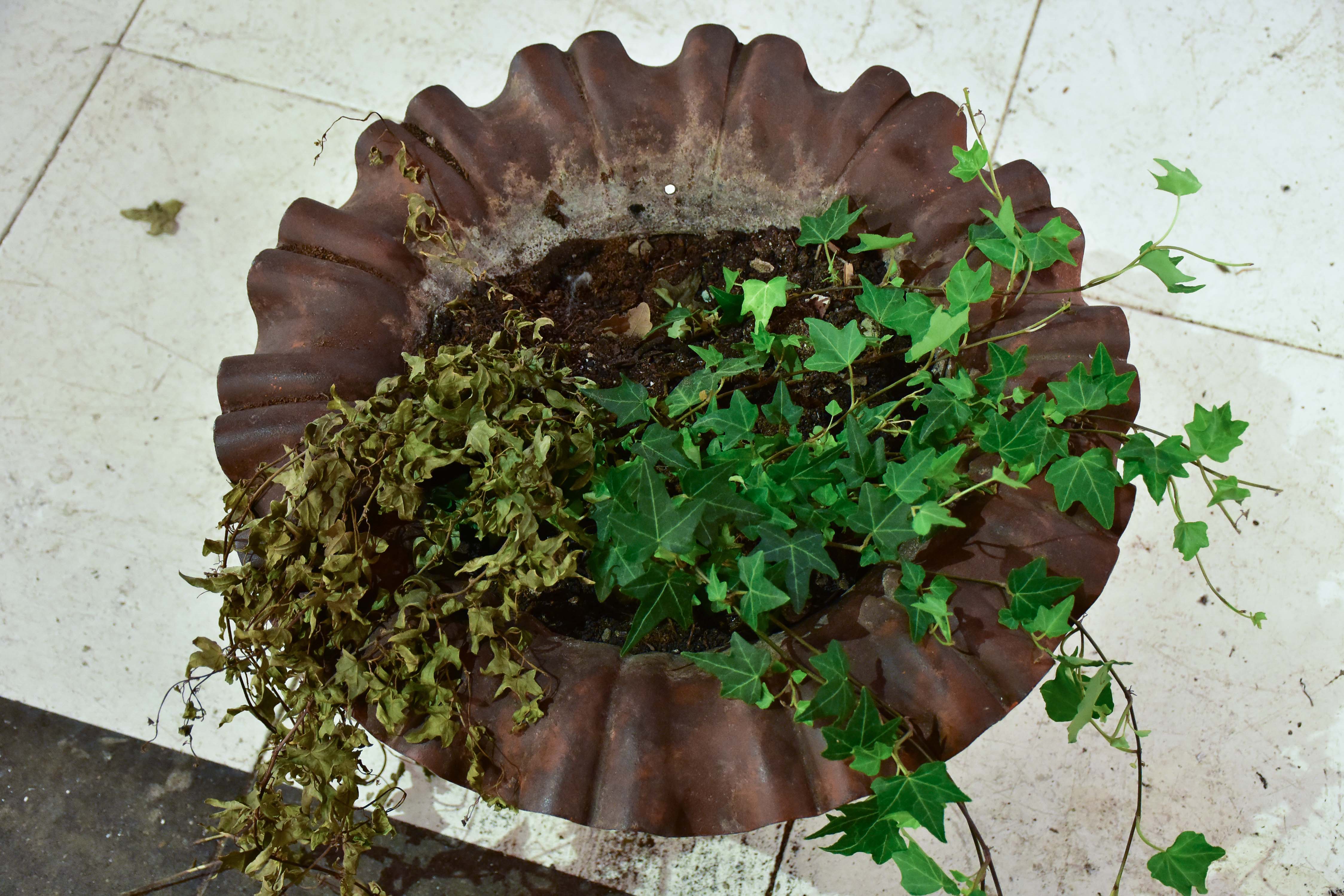 19th century cast iron French garden urn with handles