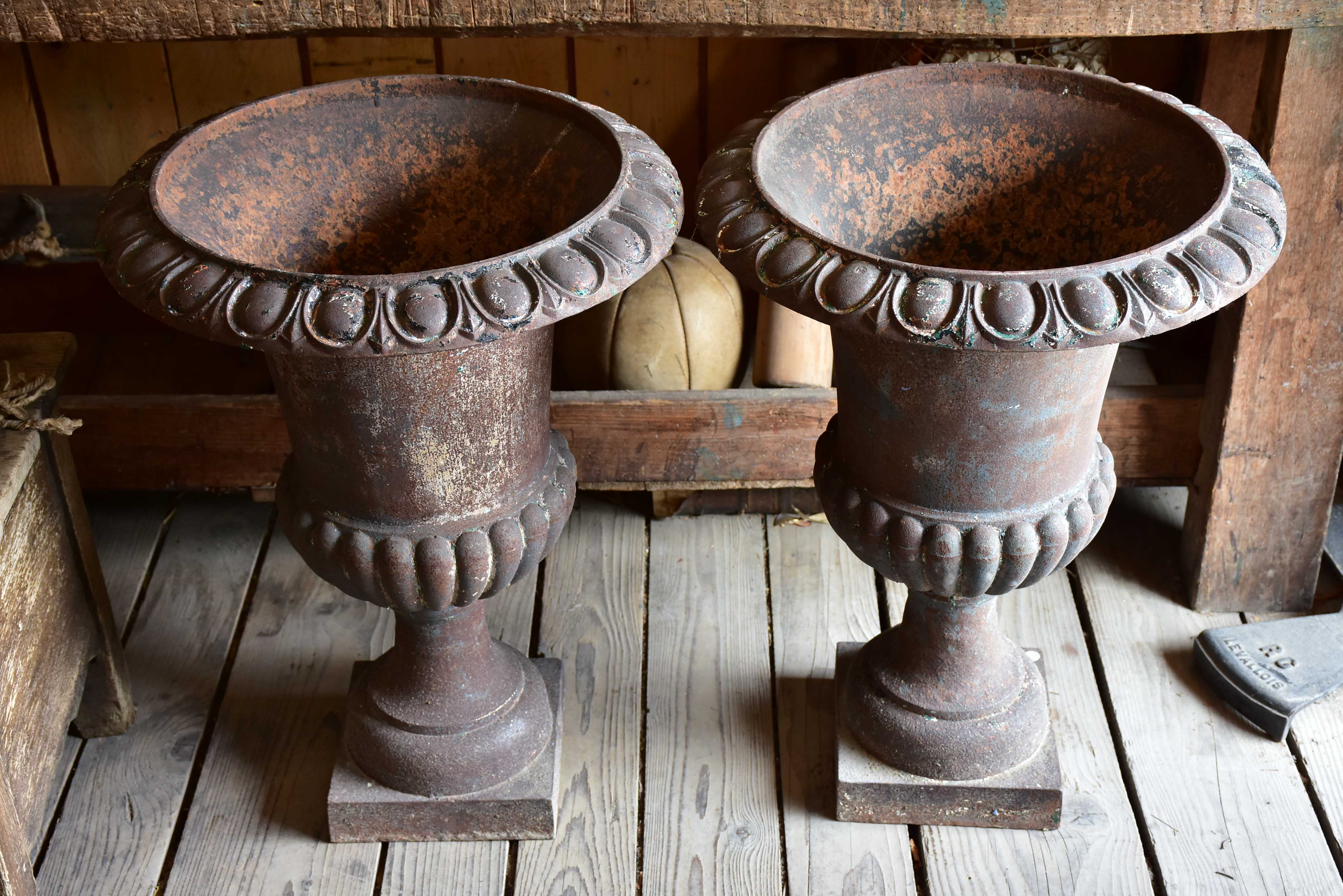 Pair of early 20th century Medici Urns
