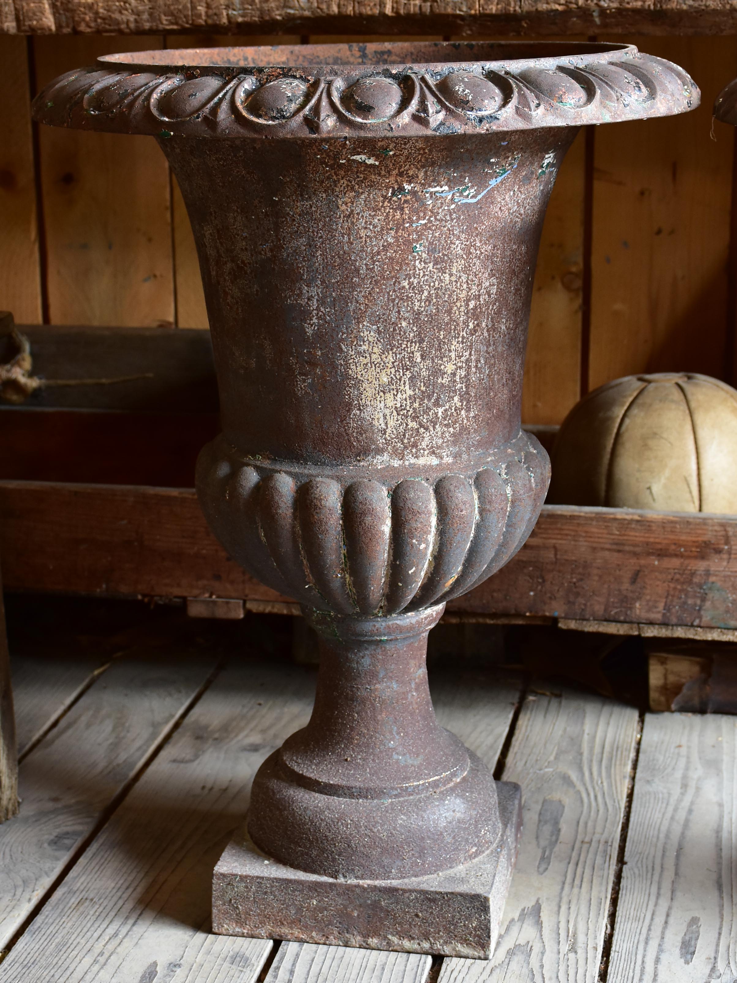 Pair of early 20th century Medici Urns
