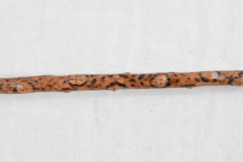 Classic 19th century French cane