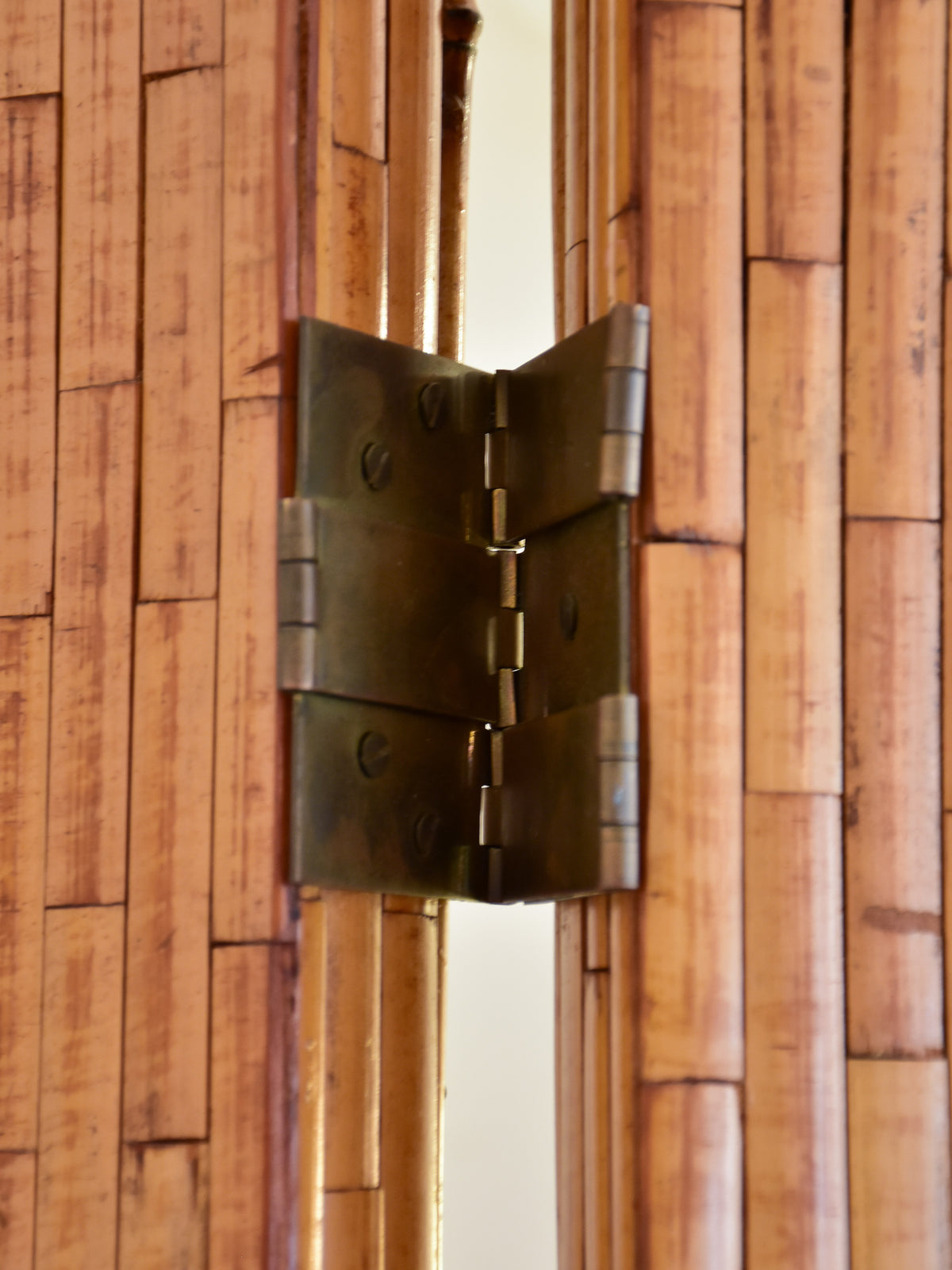 Italian Vivai del Sud palm tree mirrored screen