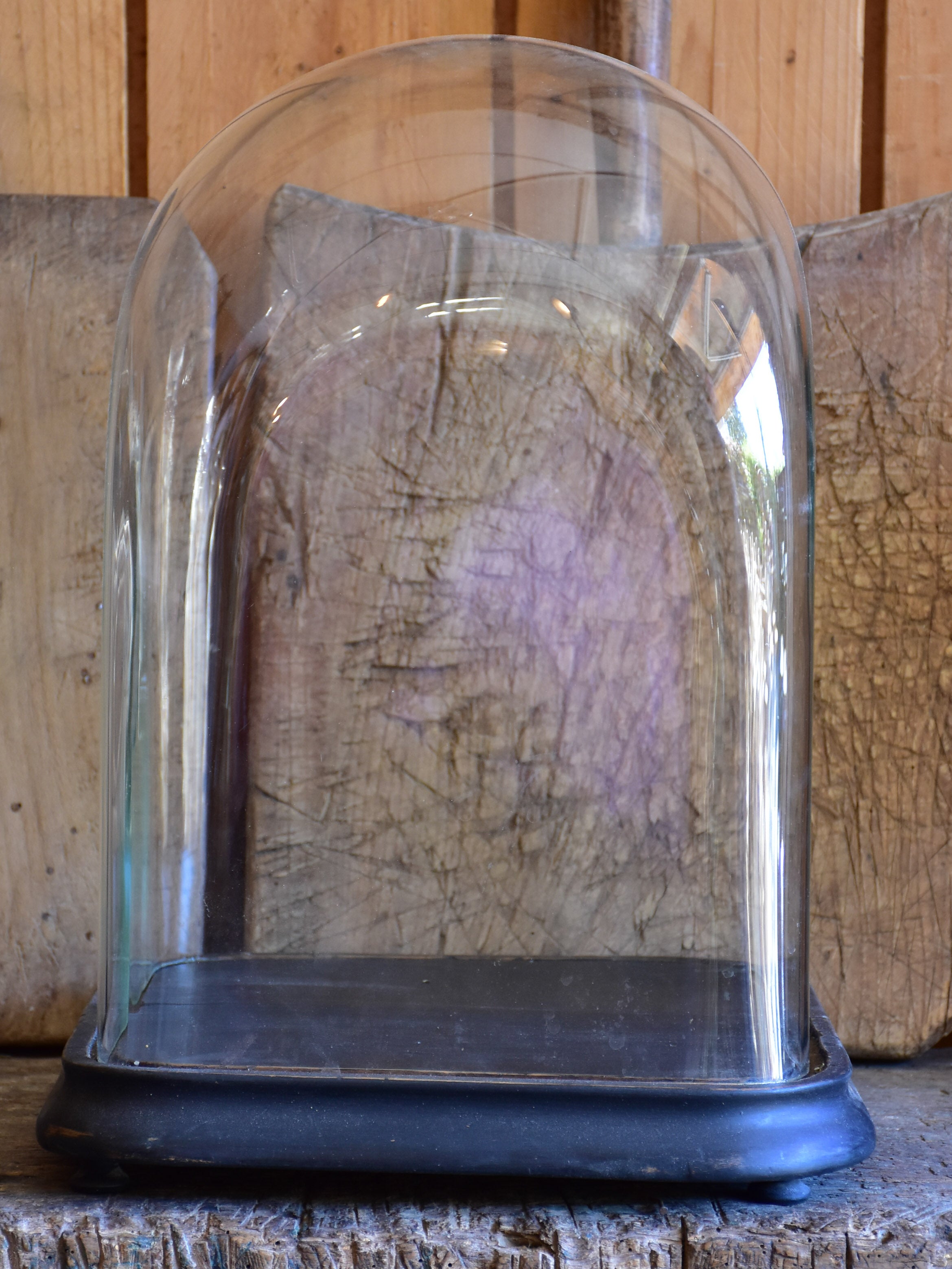 Antique French square specimen dome