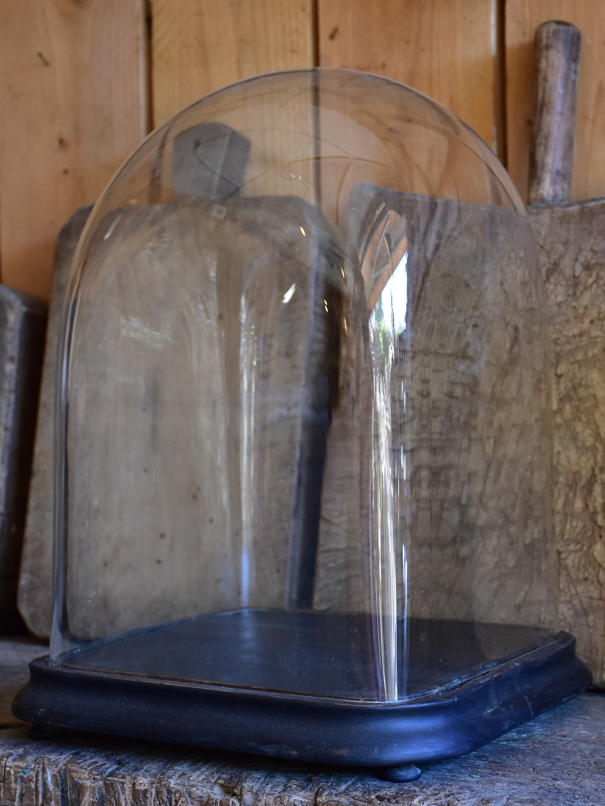 Antique French square specimen dome