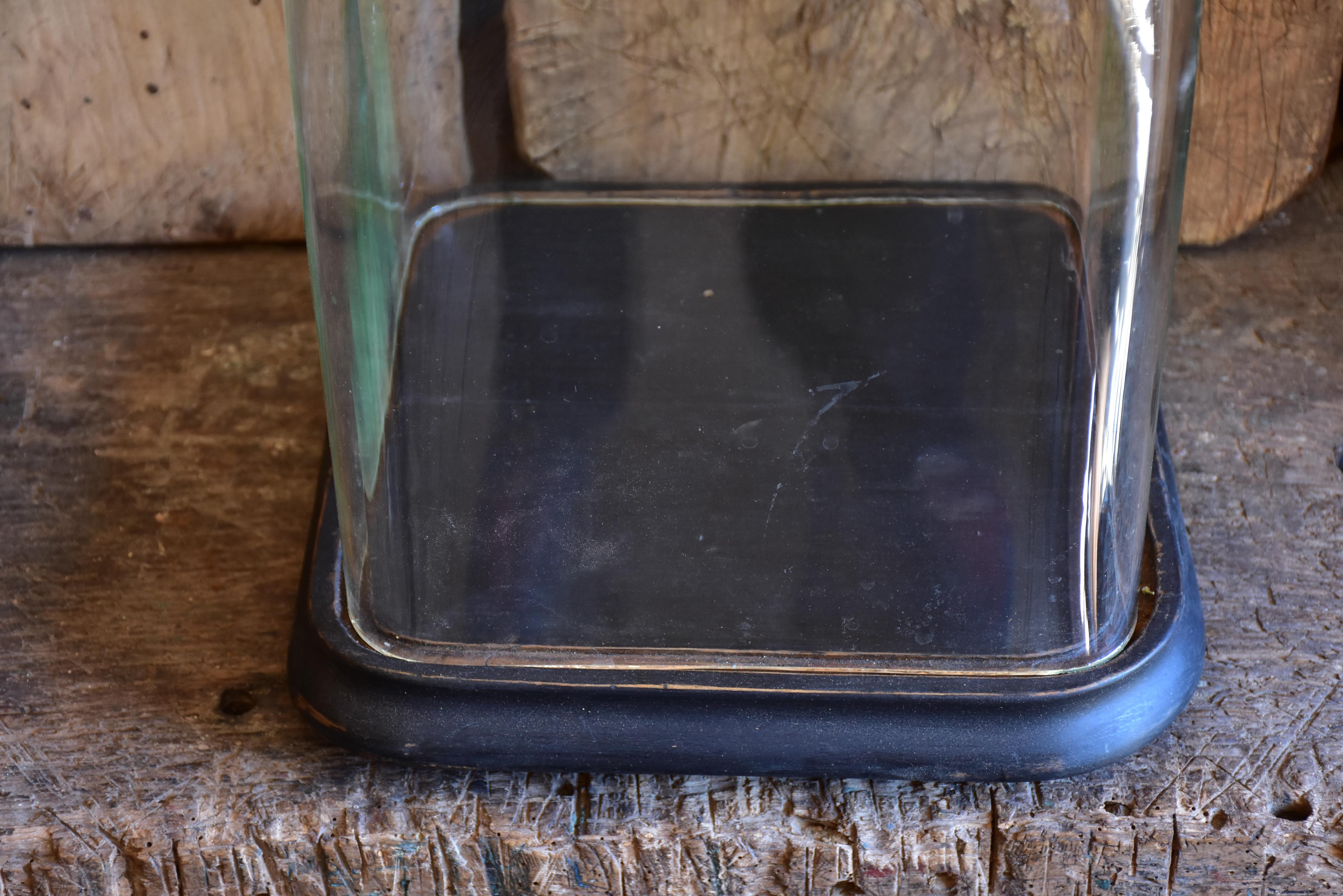 Antique French square specimen dome