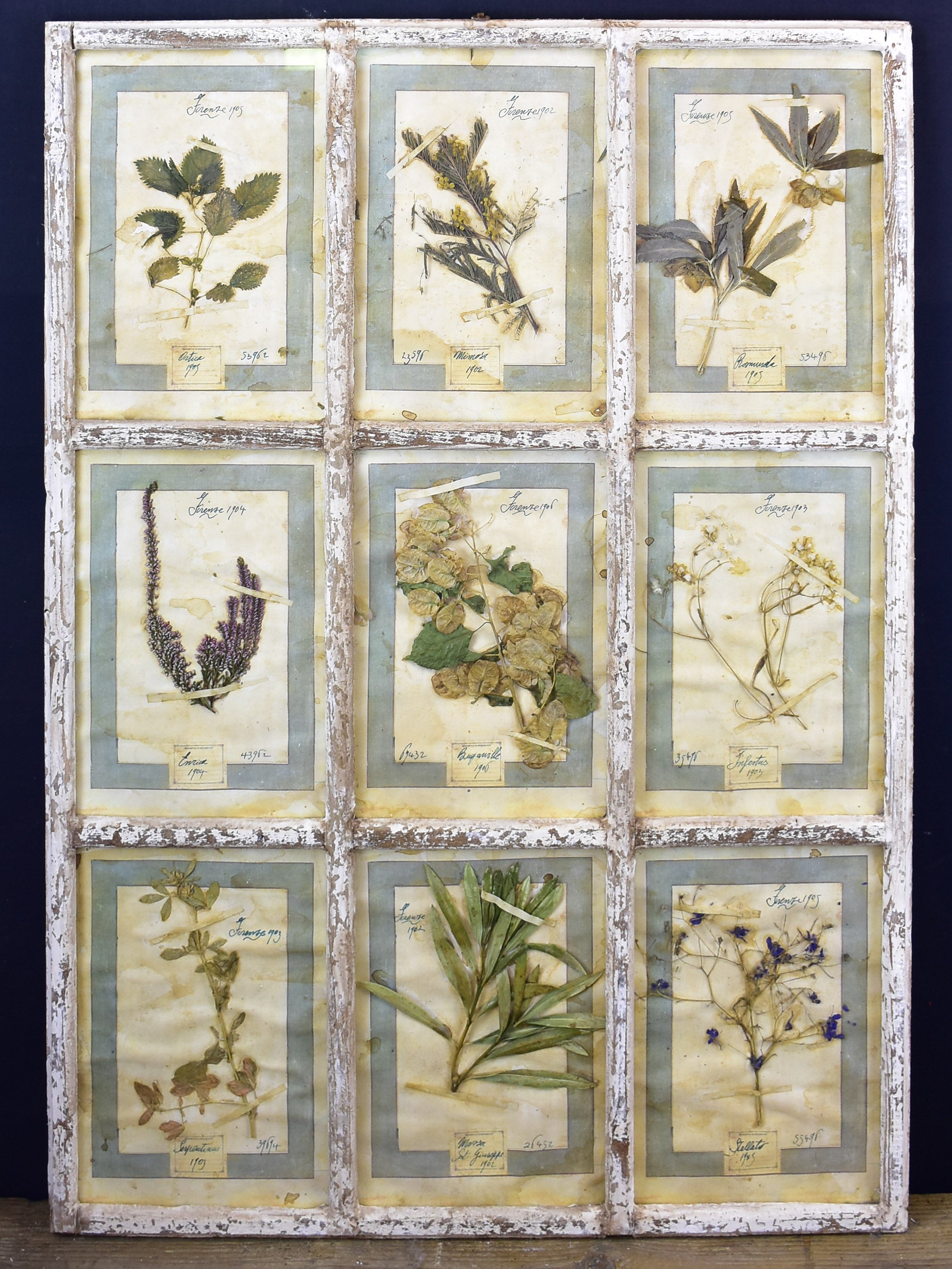 Artisan-made framed herbarium