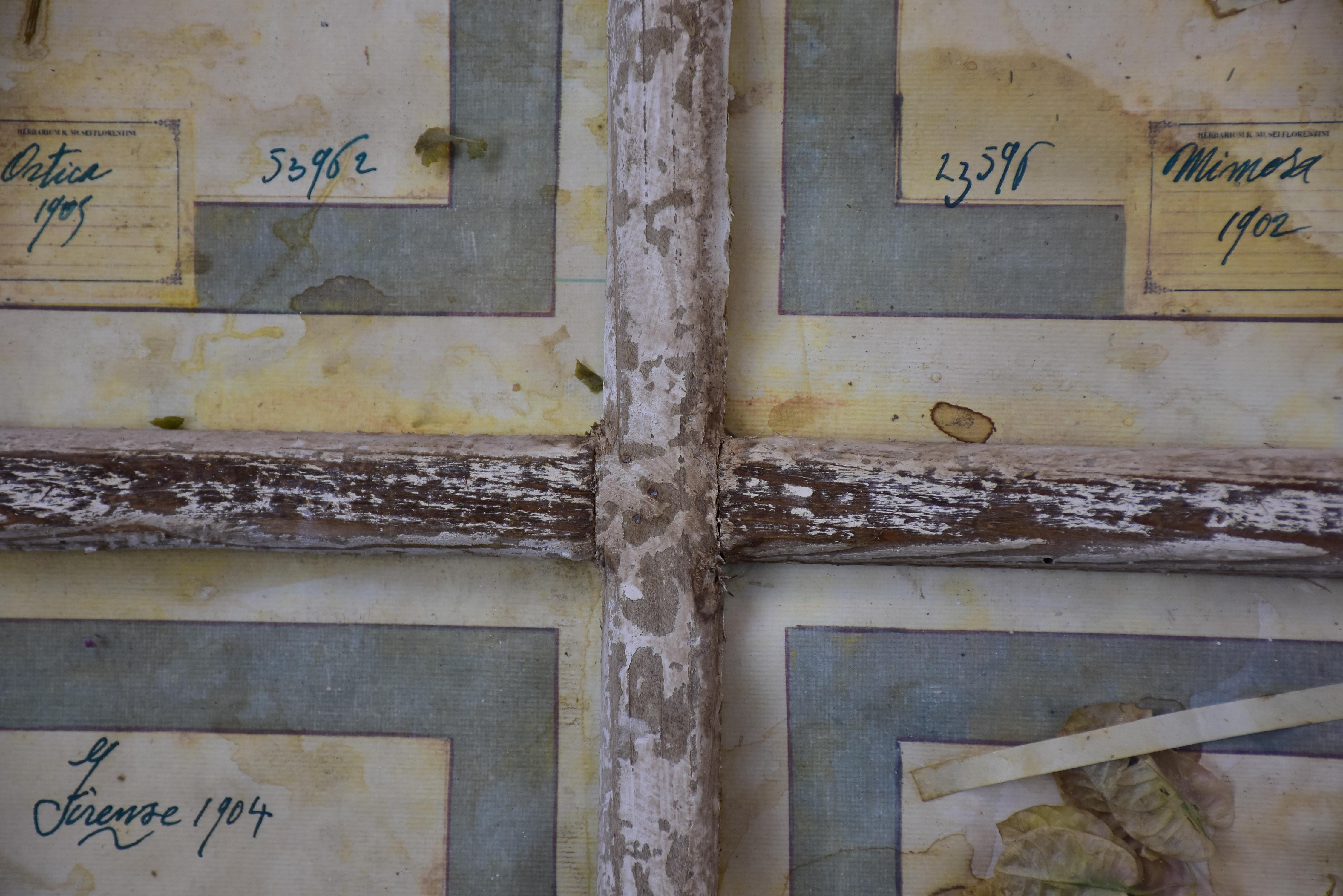 Artisan-made framed herbarium