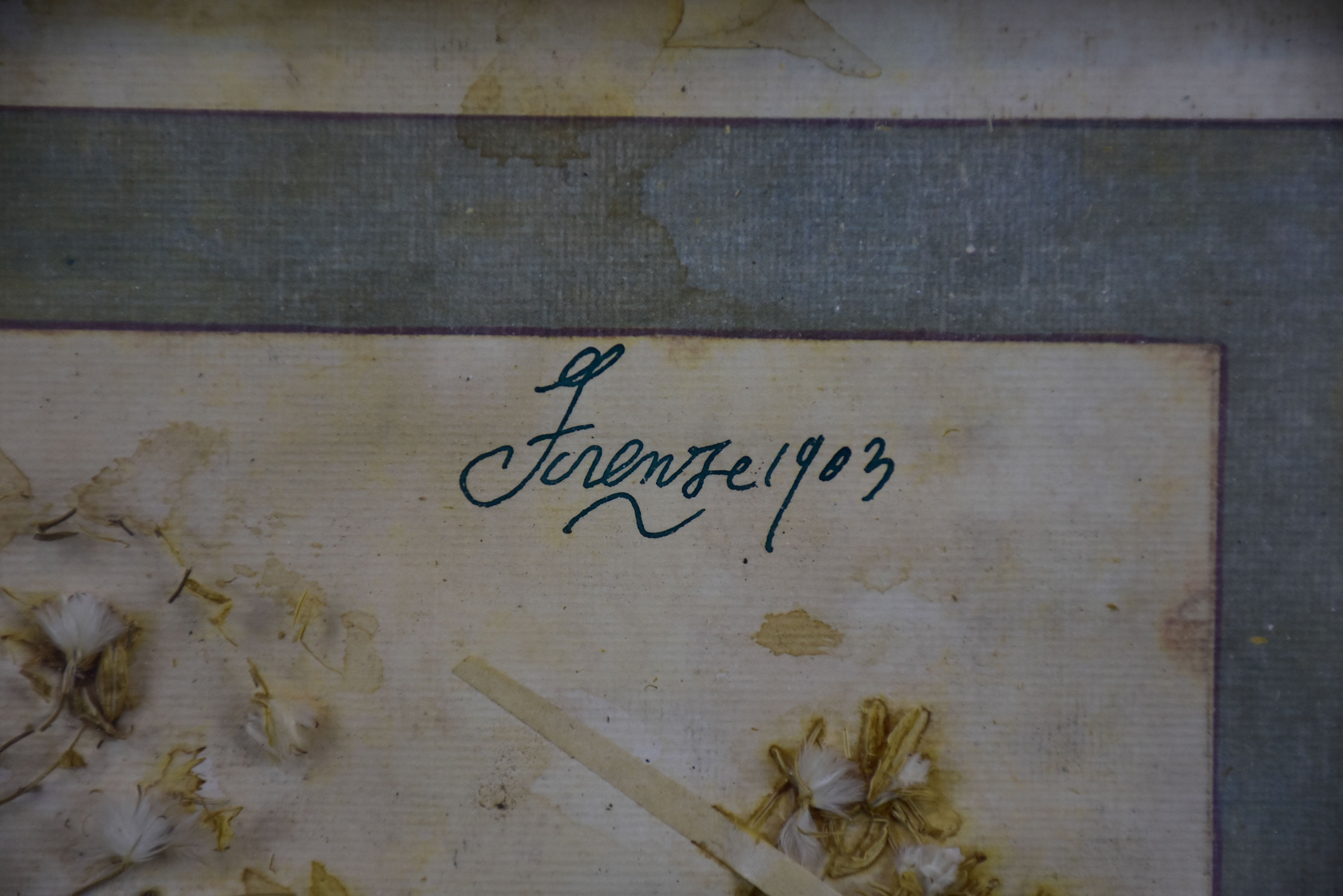 Artisan-made framed herbarium
