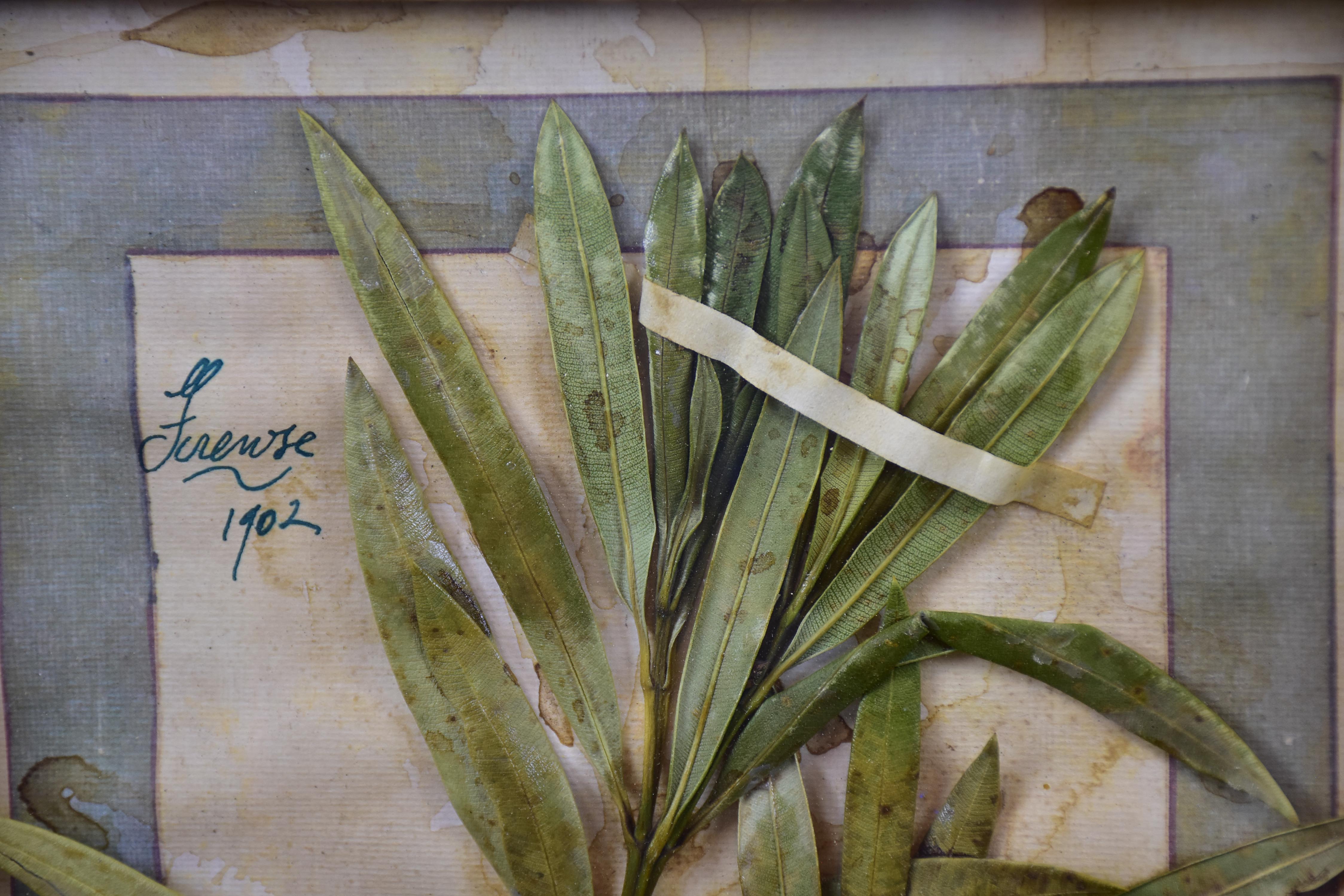 Artisan-made framed herbarium