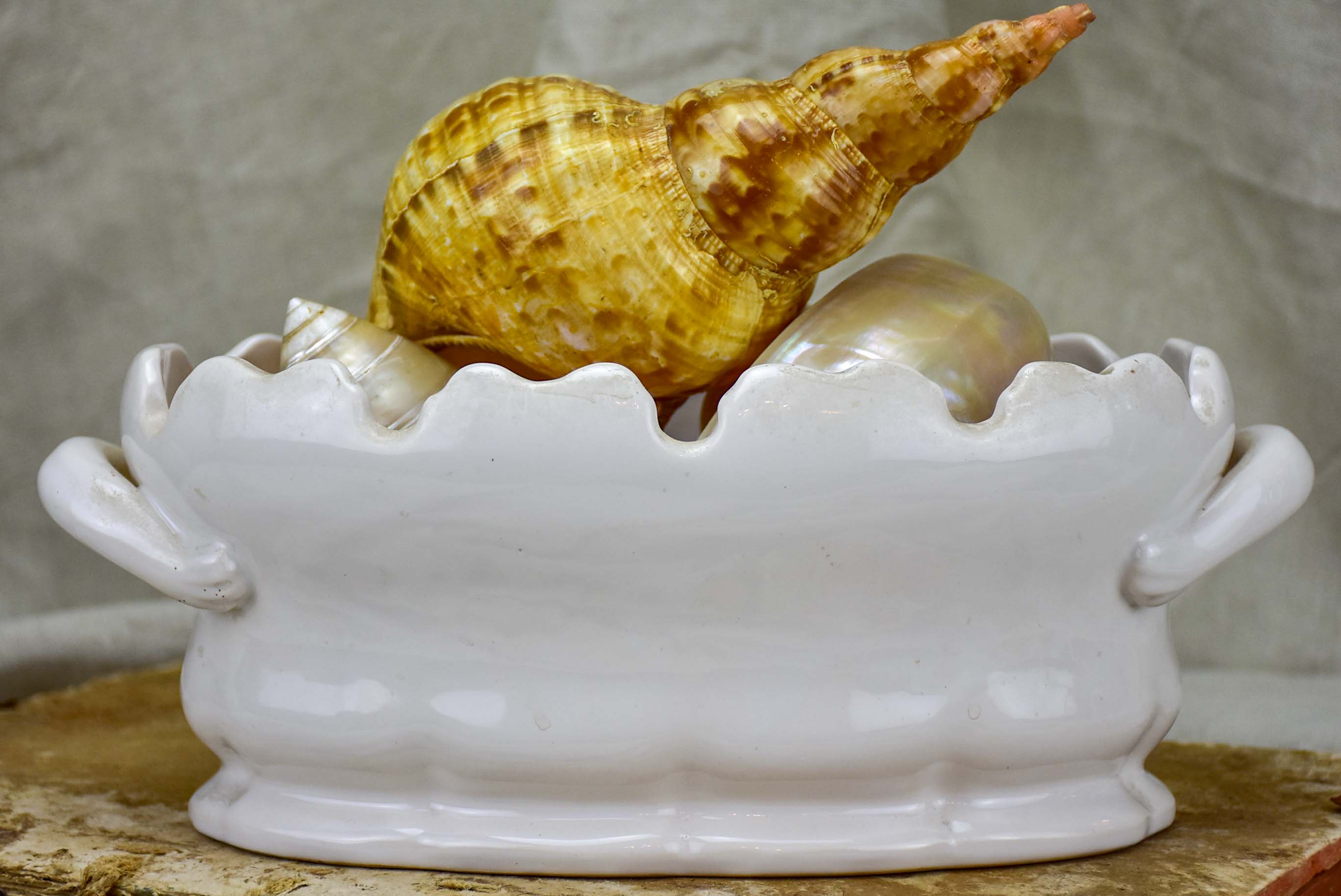 French ironstone planter