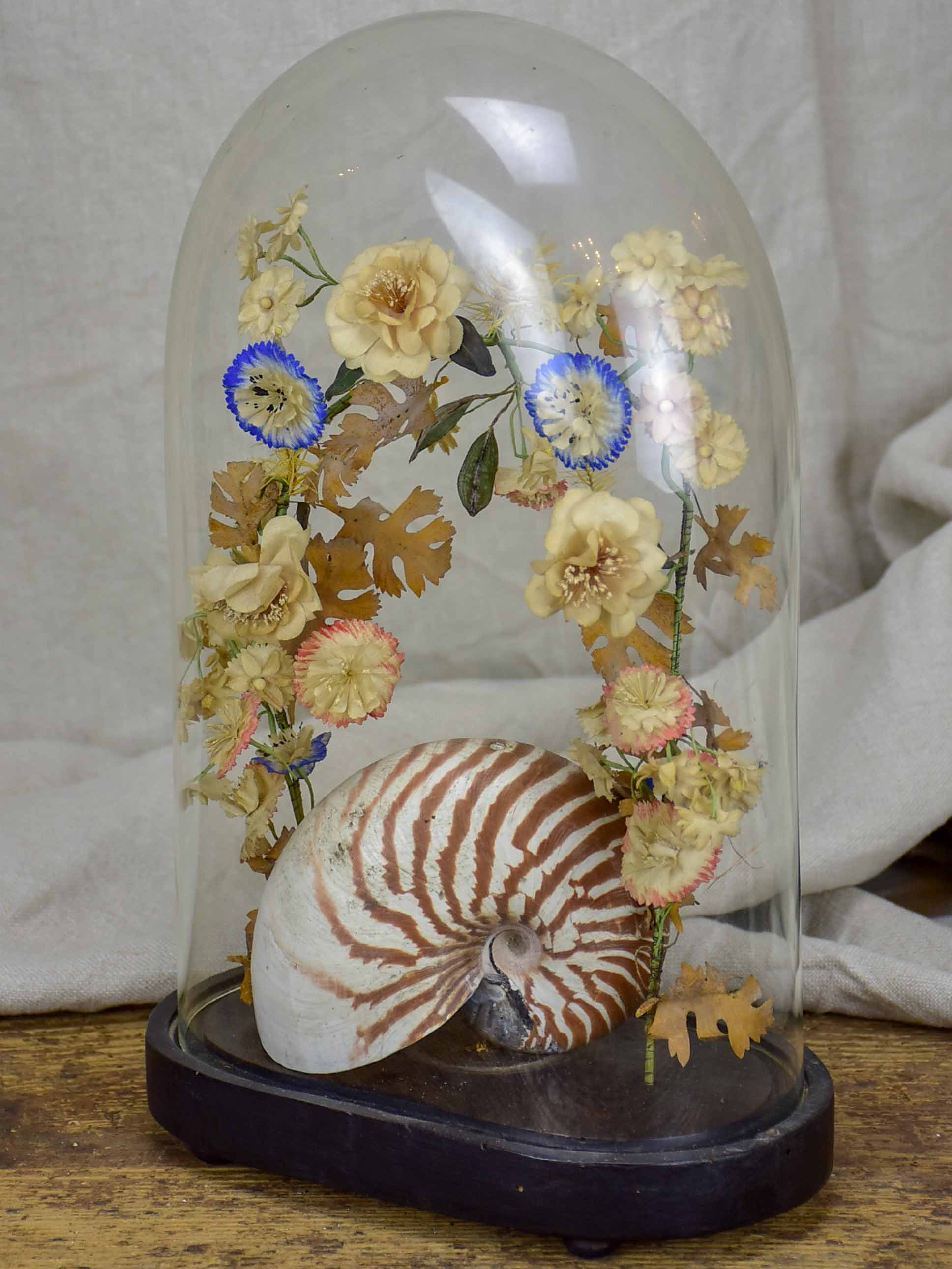 Napoleon III glass marriage dome