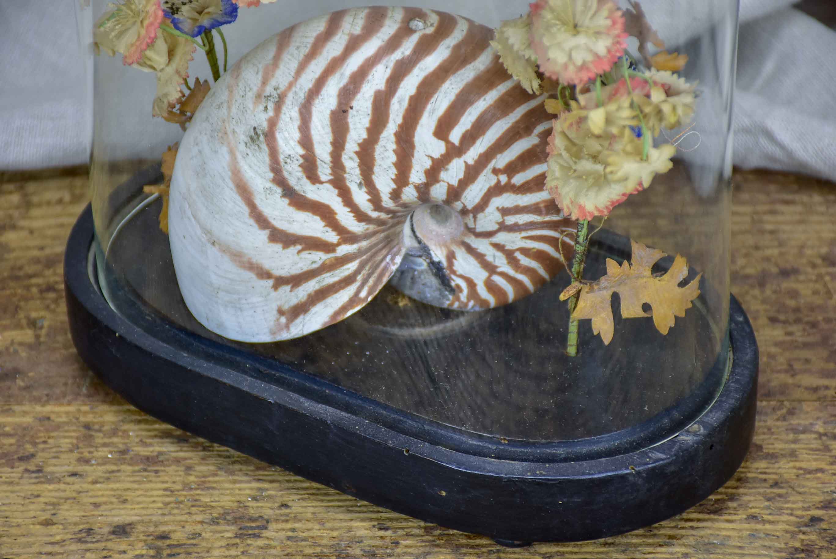 Napoleon III glass marriage dome