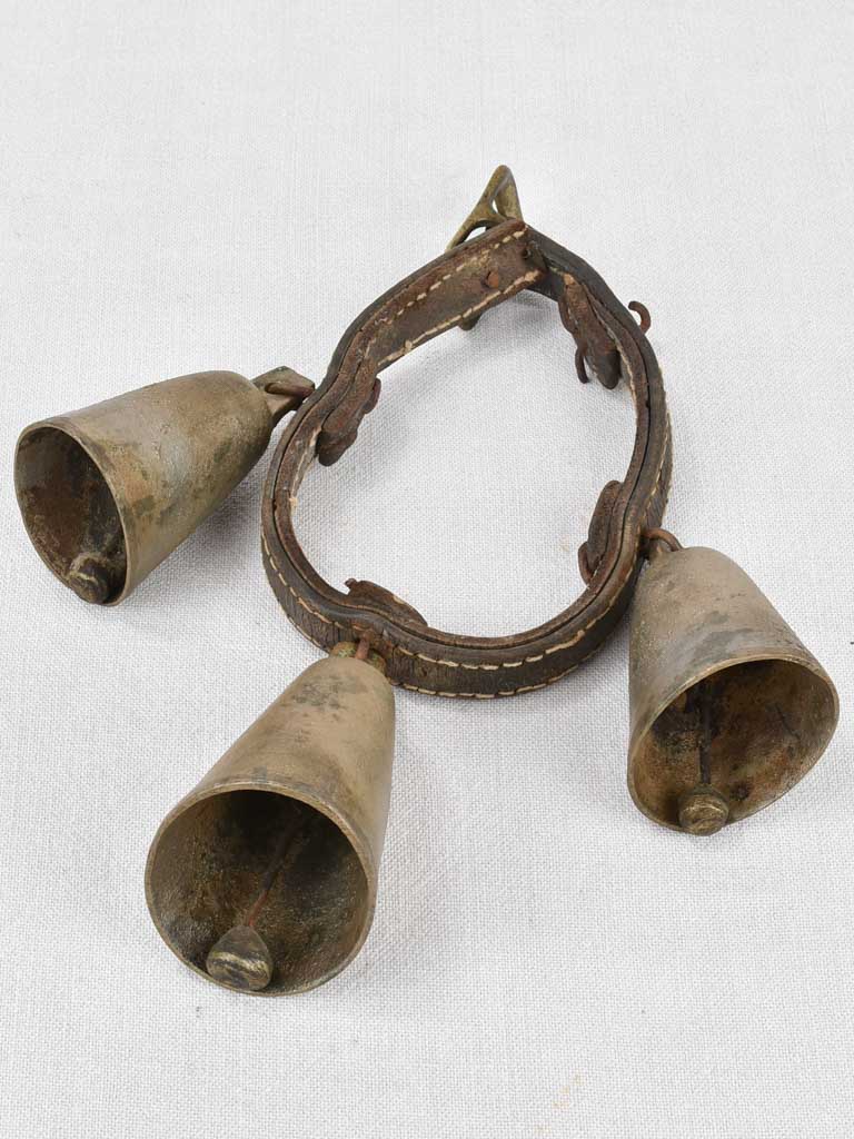 Goat's bells on leather collar, 19th-century