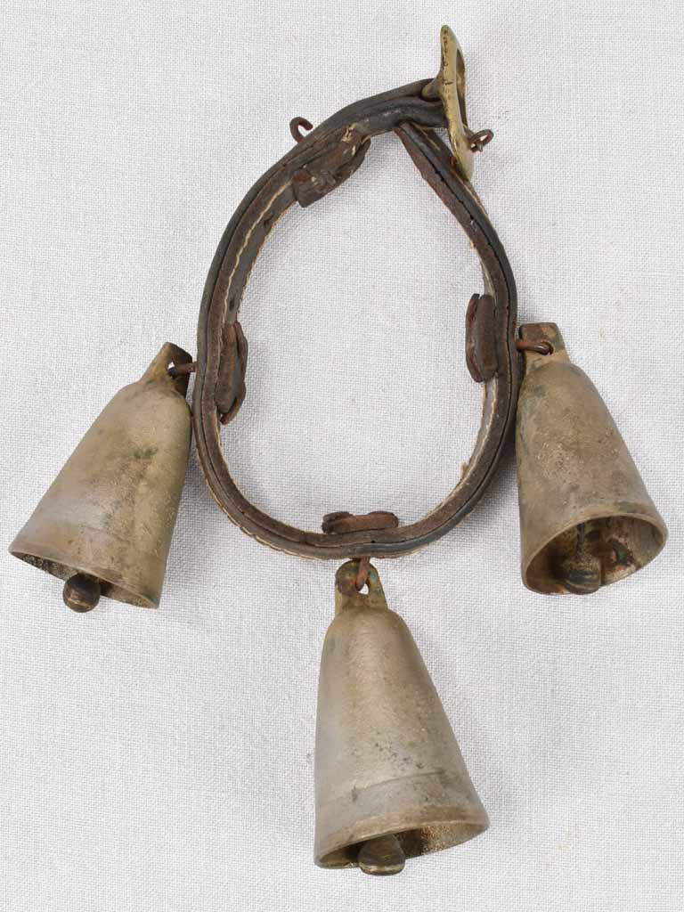 Goat's bells on leather collar, 19th-century