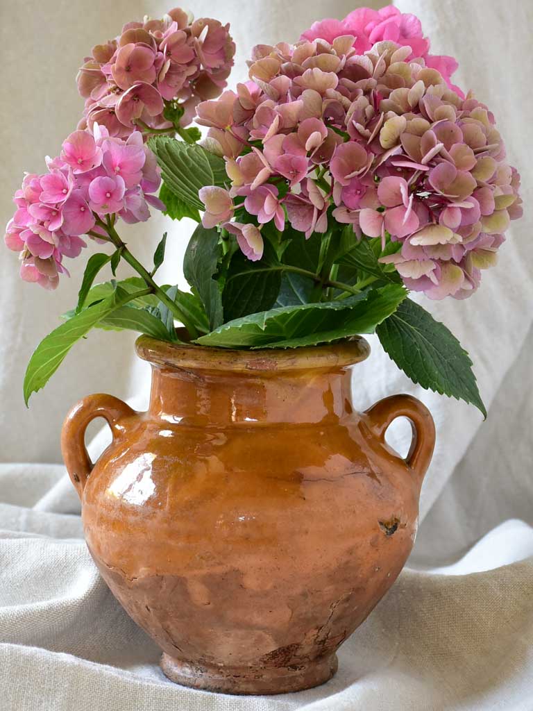 Petite antique French confit pot 6¾"