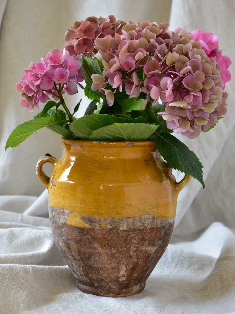 Small antique French confit pot 7½"