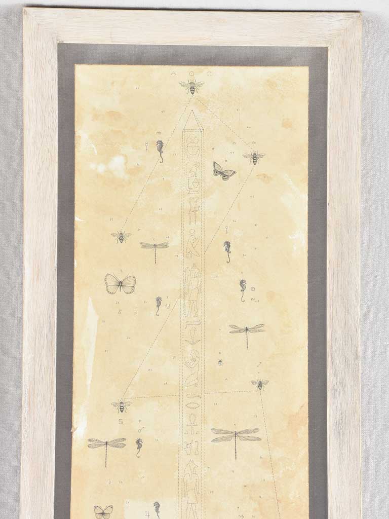 2 Andrea Collesano drawings - rhinoceros & elephant 47¾" x 14¼"