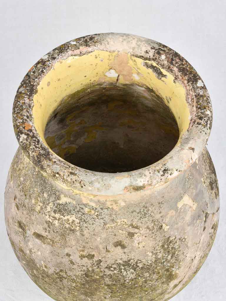 Late 18th century olive jar - medium 24½"
