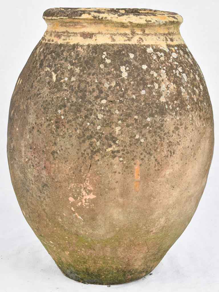 Antique French olive jar 22¾"