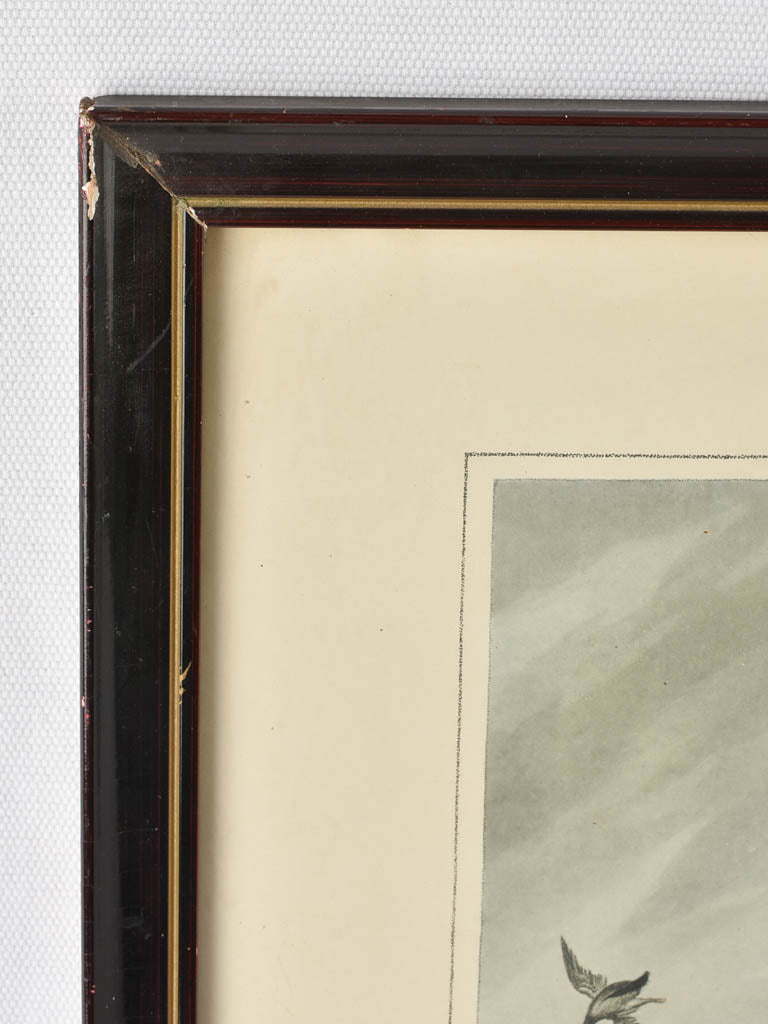 Classic English-French Bilingual Framed Art