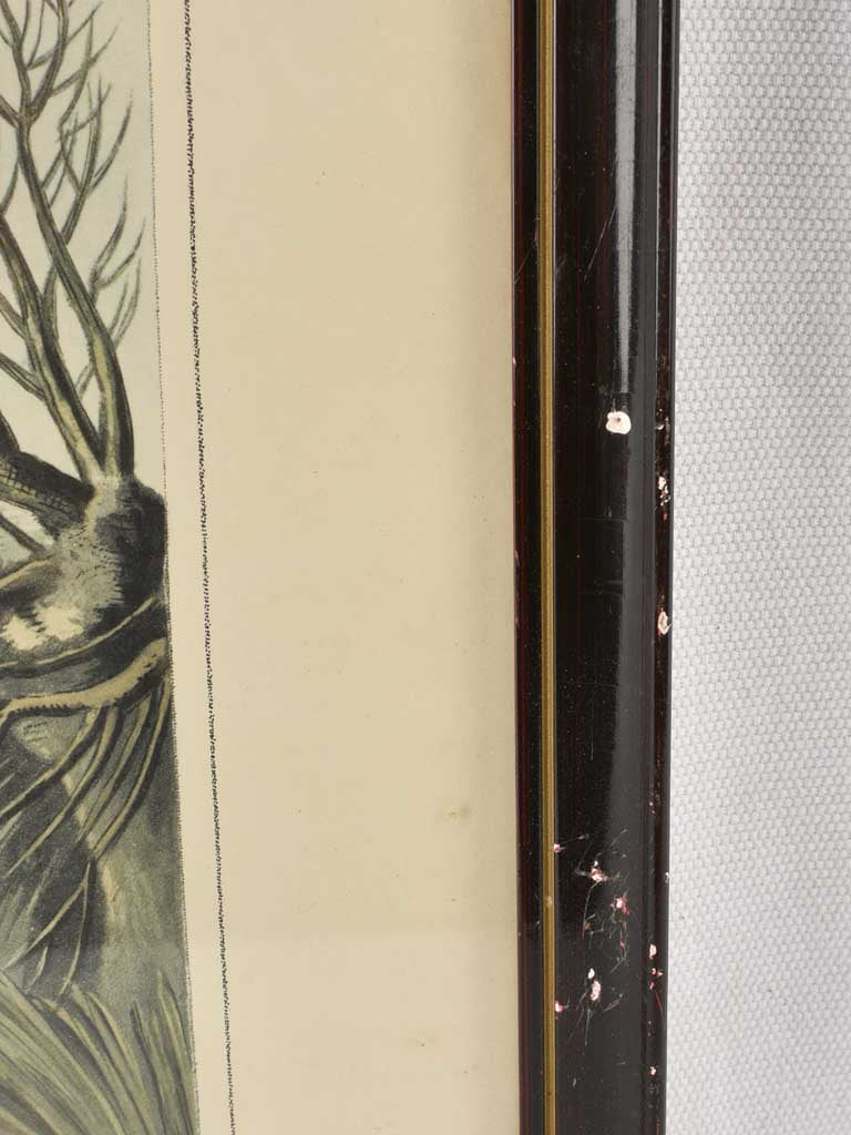 Antique Duck Hunt Illustrated Print