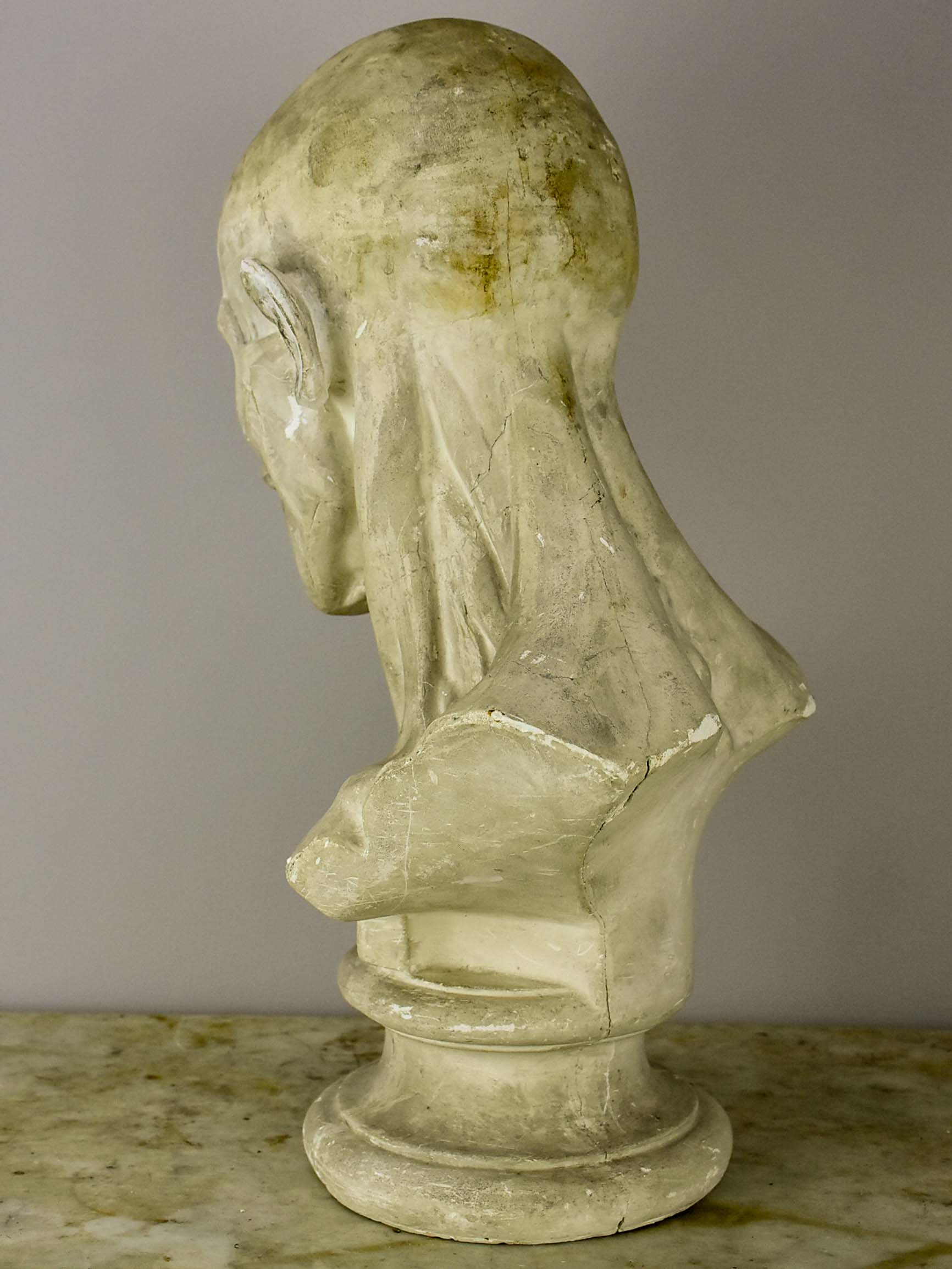 19th Century French plaster male anatomical bust