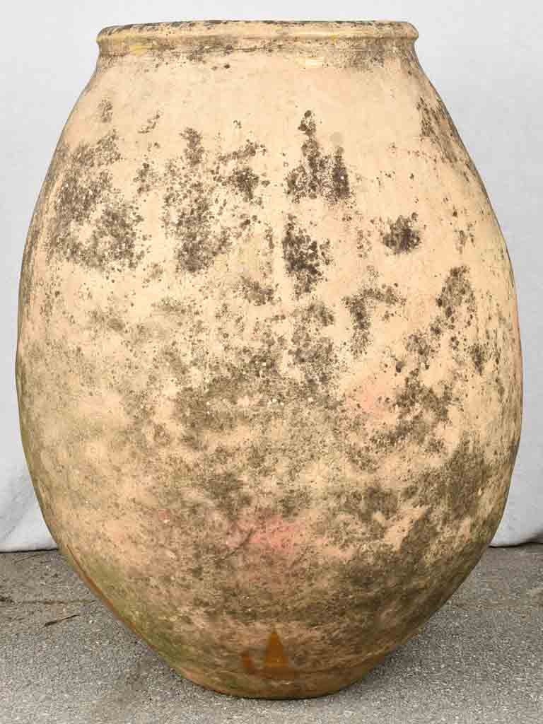 Large 19th century French olive jar - Biot jar 36¼"