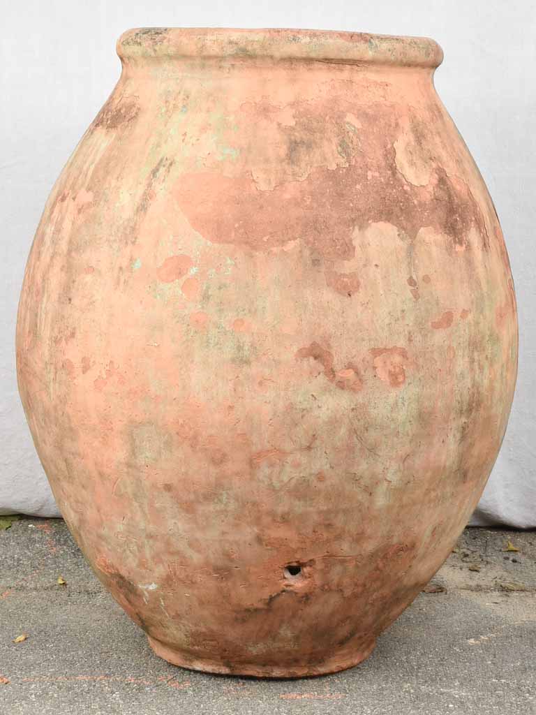 Large terracotta 19th century French olive jar - Biot jar 37"