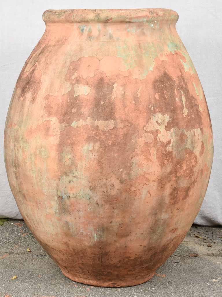 Large terracotta 19th century French olive jar - Biot jar 37"