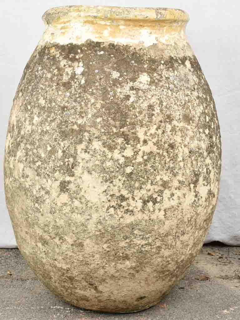 Late 18th century large olive jar - Biot jar 34¼"