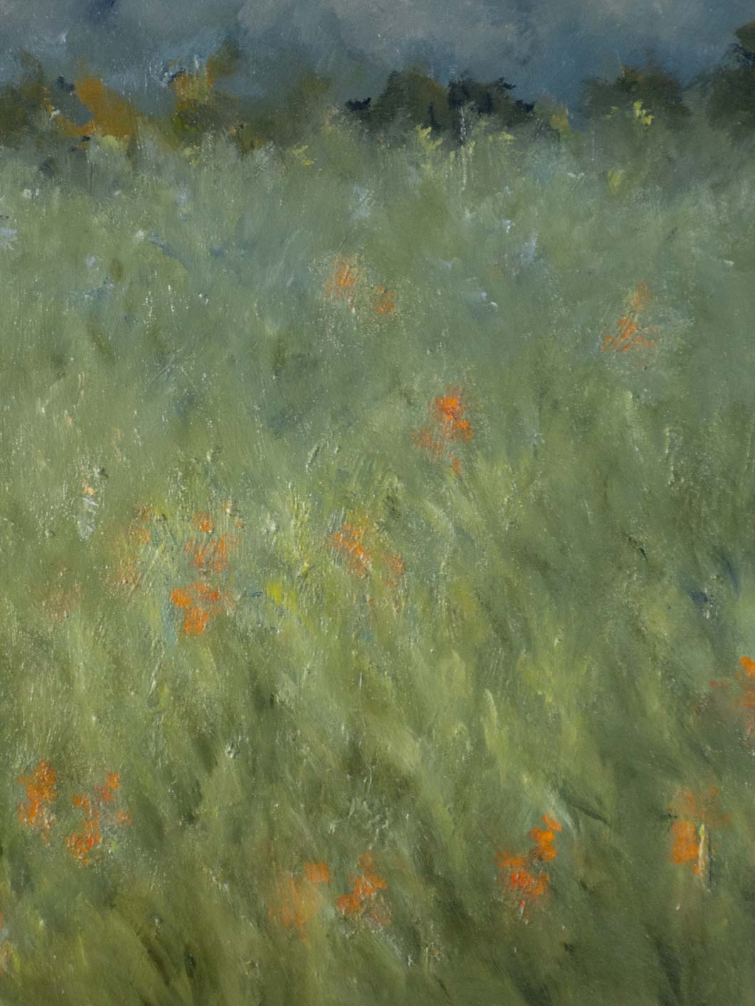 Vintage, French, Orange Champ au Fleurs
