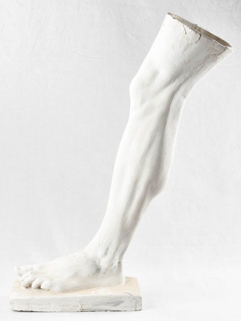 Vintage plaster anatomical leg sculpture | Vintage plaster sculpture of a leg 31½
