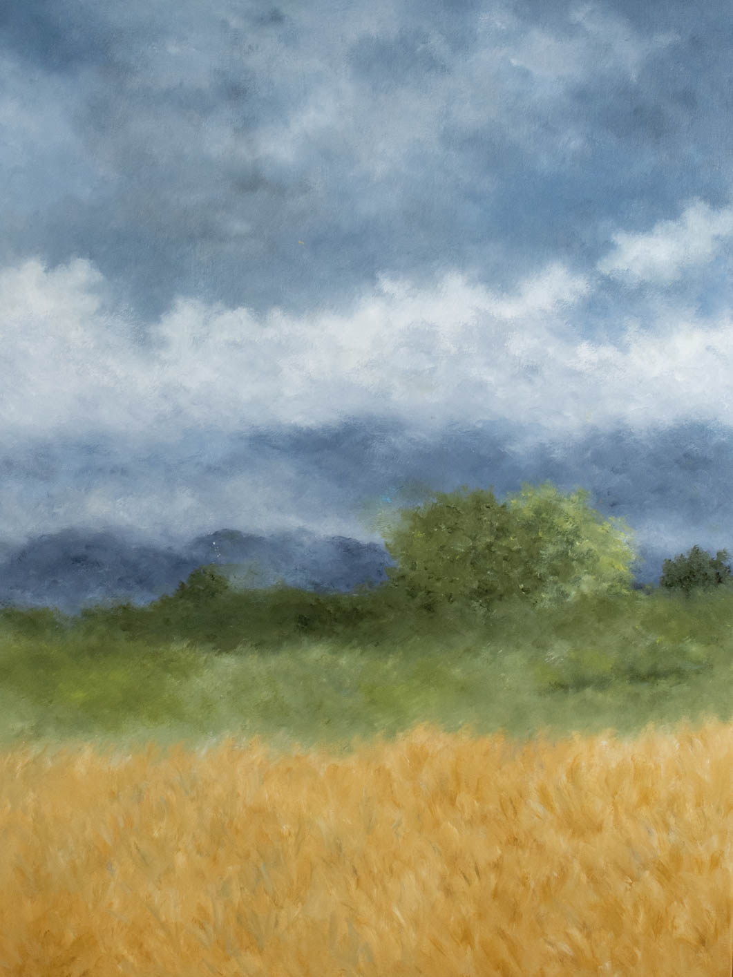 Au pigeonnier, mon horizon 33¾ x 33¾""
