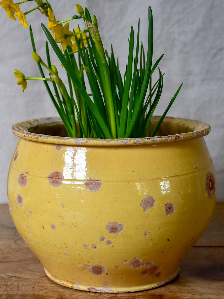 Antique French chamber pot with pale yellow glaze