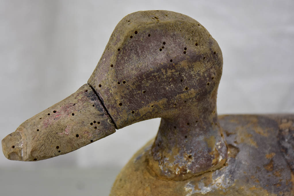 Antique French wooden duck hunting decoy