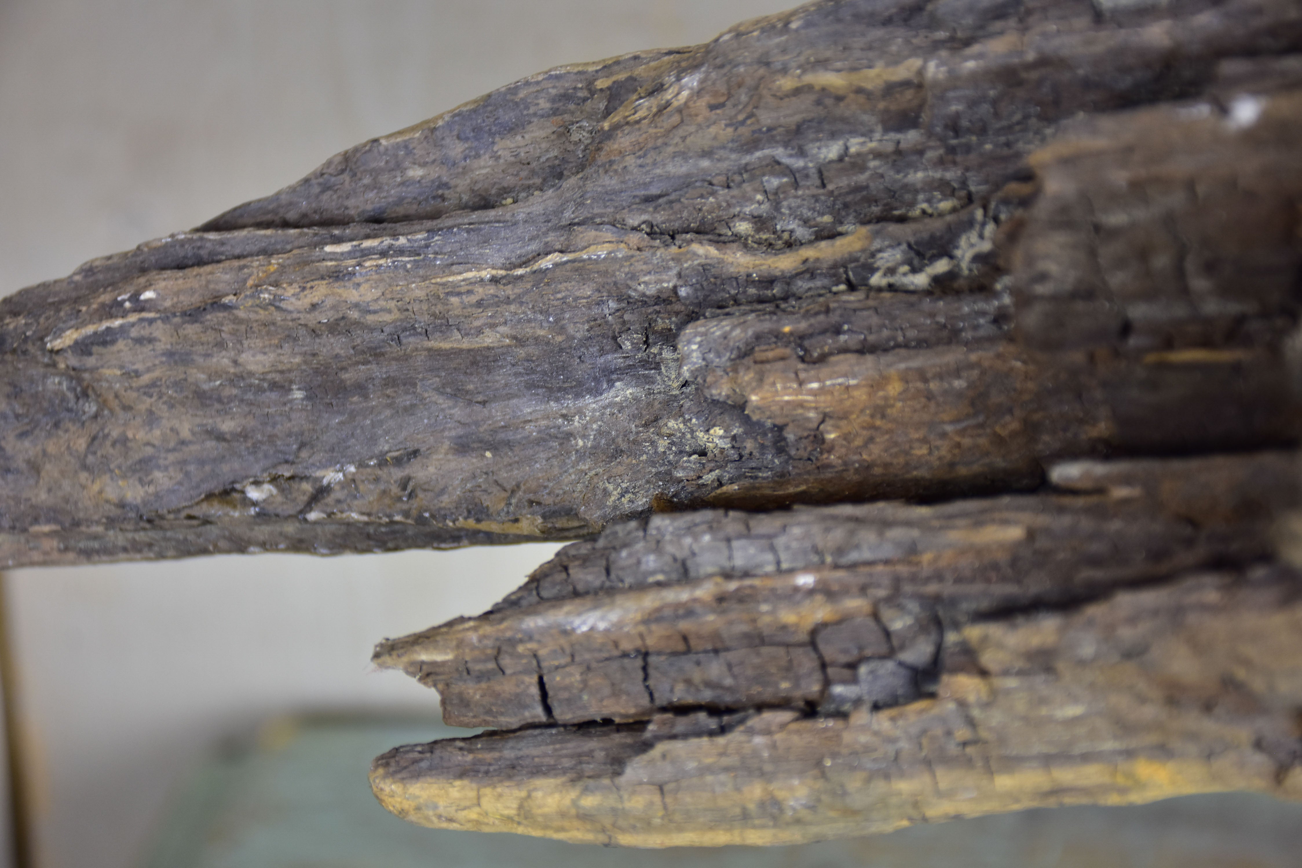 Bird sculpture made from salvaged driftwood and wrought iron