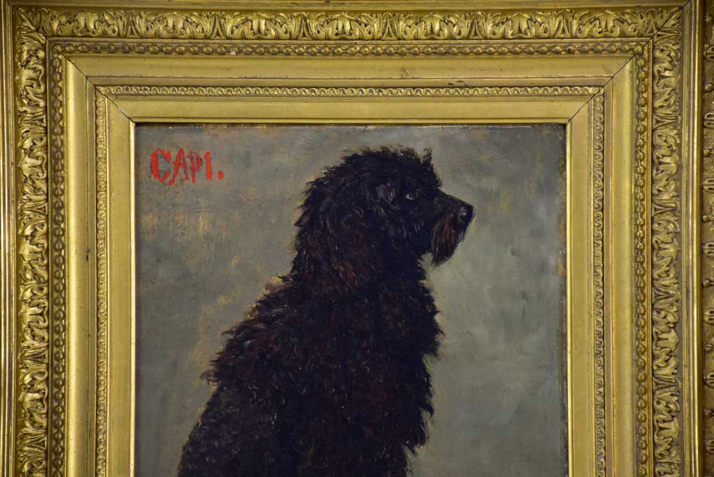Portrait of a poodle named Capi - Raymond Desvarreux (1876-1961) 17" x 14½"